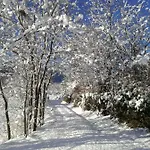 La Casa Dei Nonni *